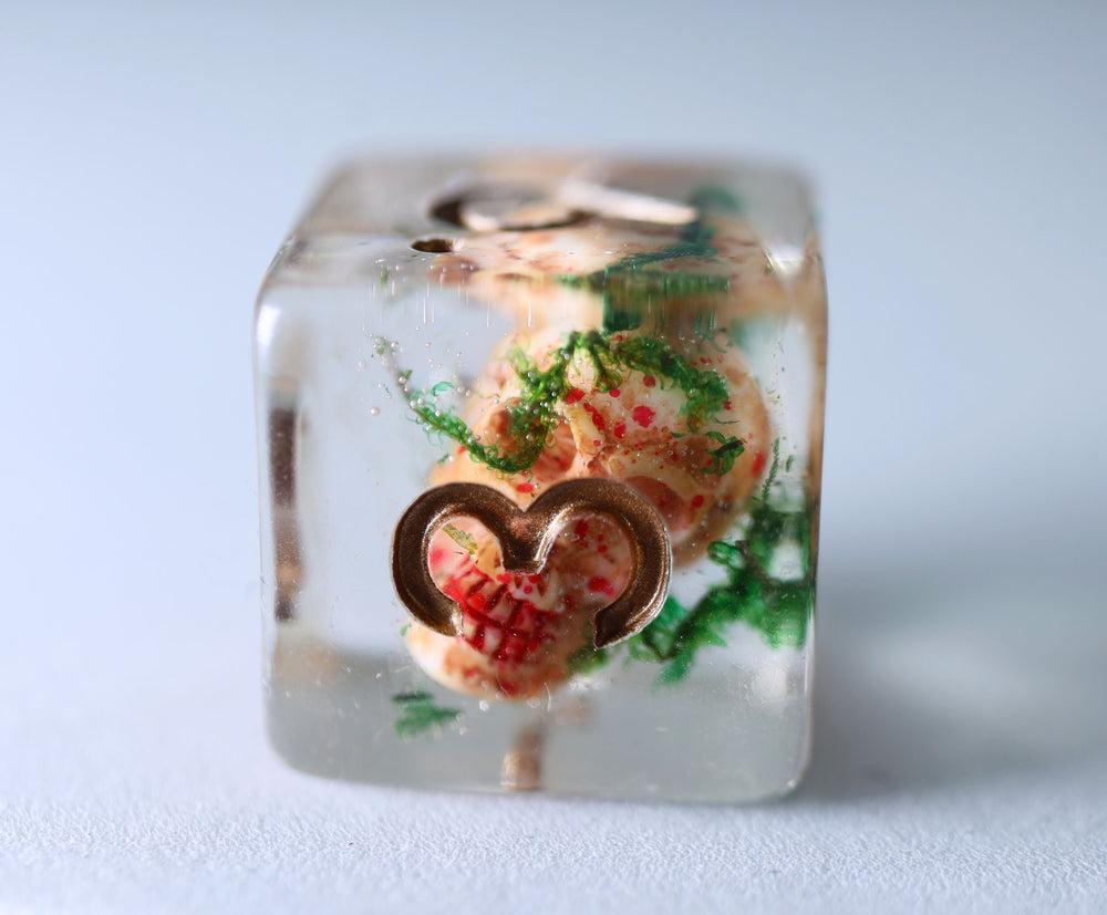 Ancient Skull RPG Dice Set Plastic Dice Foam Brain Games