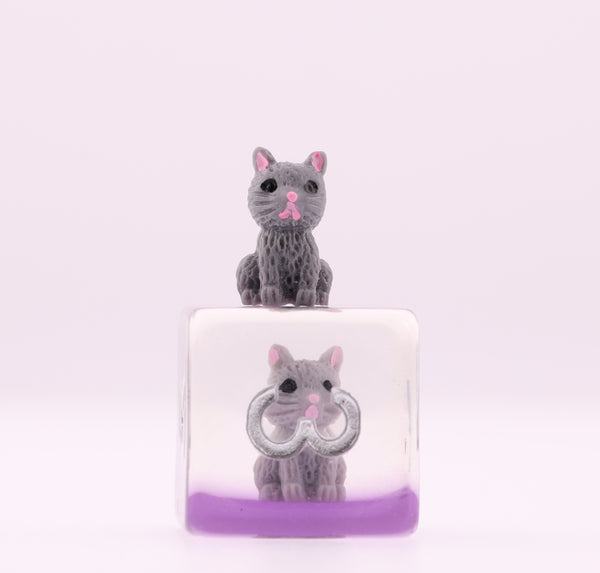 Cozy Cat RPG Dice Set Plastic Dice Foam Brain Games