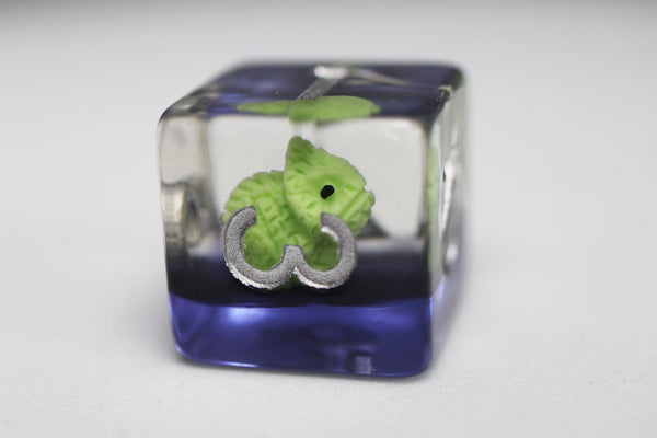 Colorful Chameleon RPG Dice Set Plastic Dice Foam Brain Games