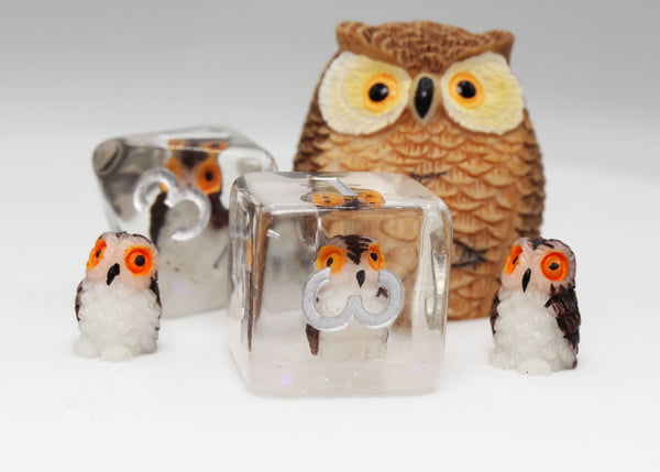 Wise Owl RPG Dice Set Plastic Dice Foam Brain Games